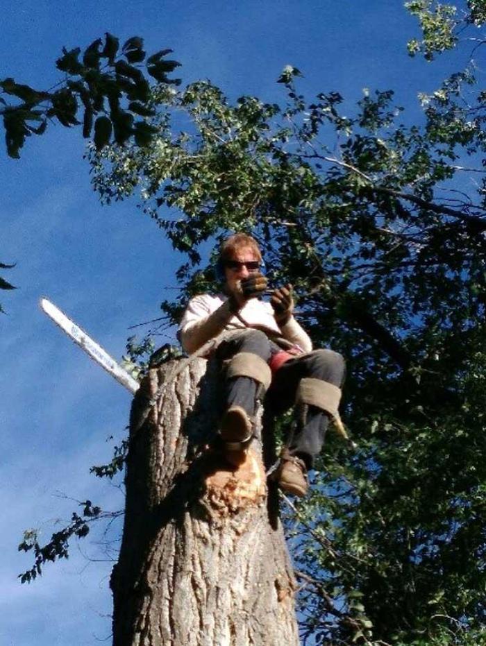 Affordable Tree and Shrub Experts - Colorado Springs, CO