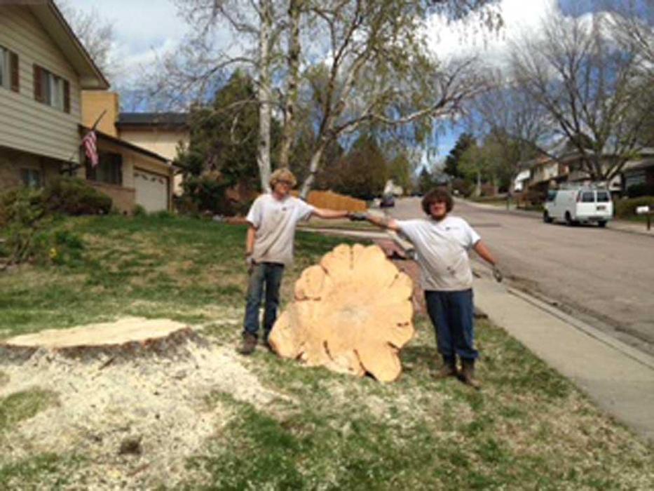 Affordable Tree and Shrub Experts - Colorado Springs, CO