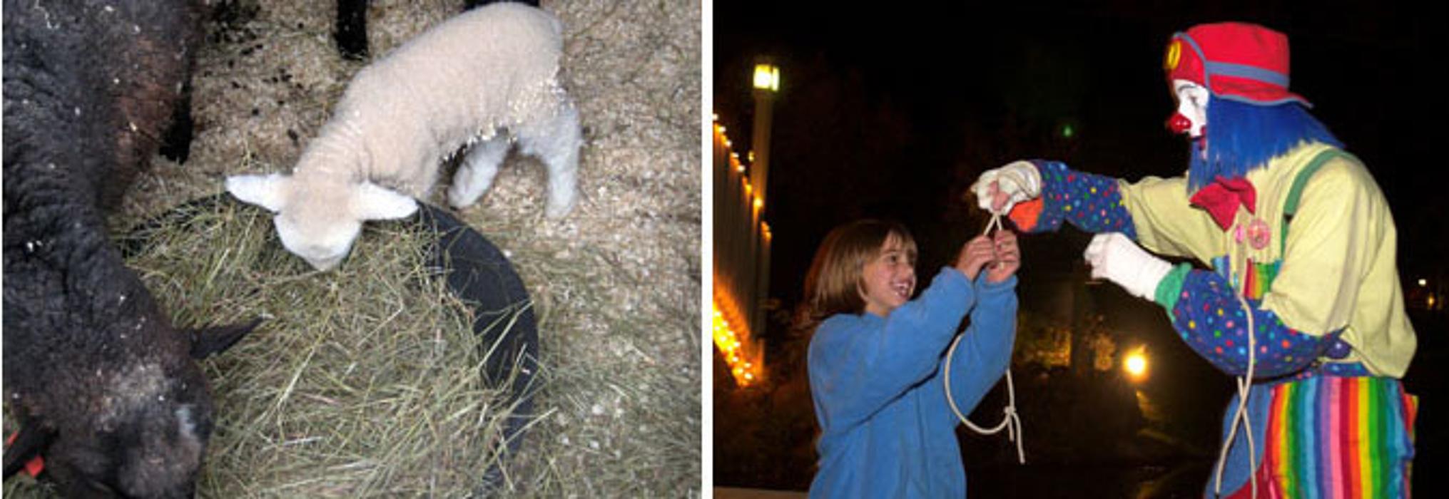 Nordic Village Resort - Jackson, NH