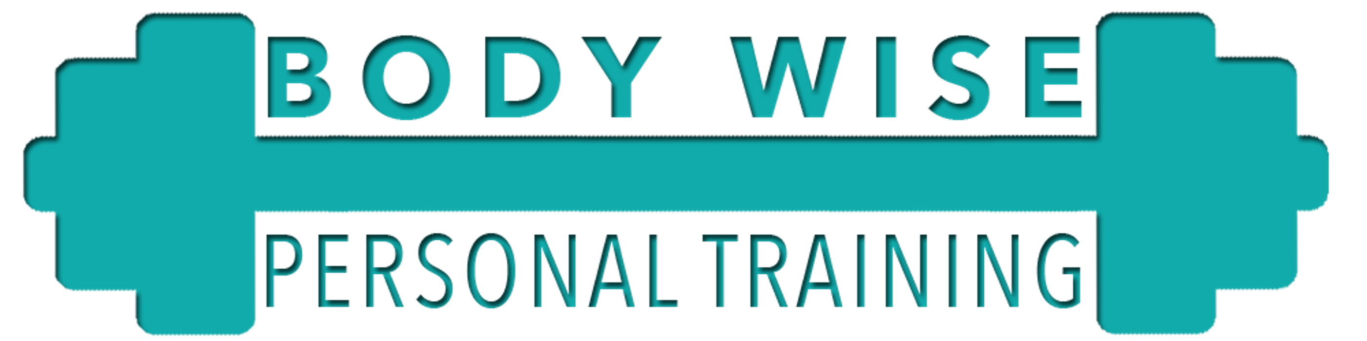 Body Wise Personal Training - Charlotte, NC