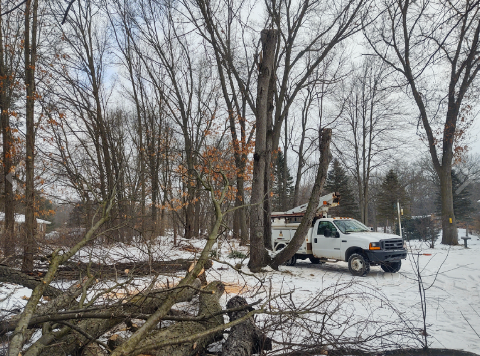 Stony Tree Service - Vermontville, MI
