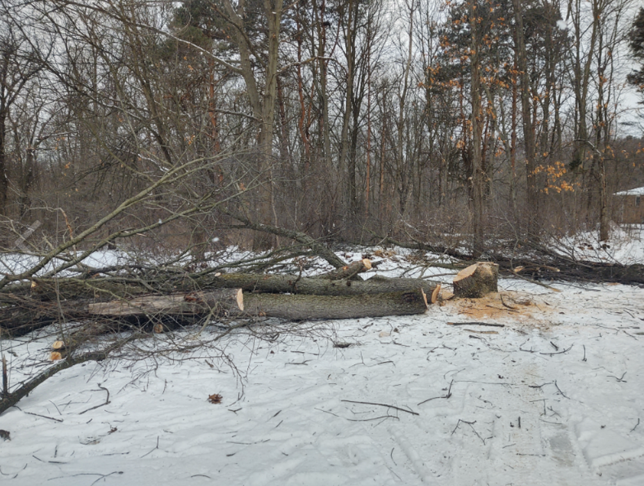 Stony Tree Service - Vermontville, MI