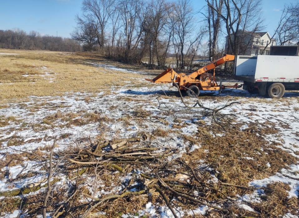 Stony Tree Service - Vermontville, MI
