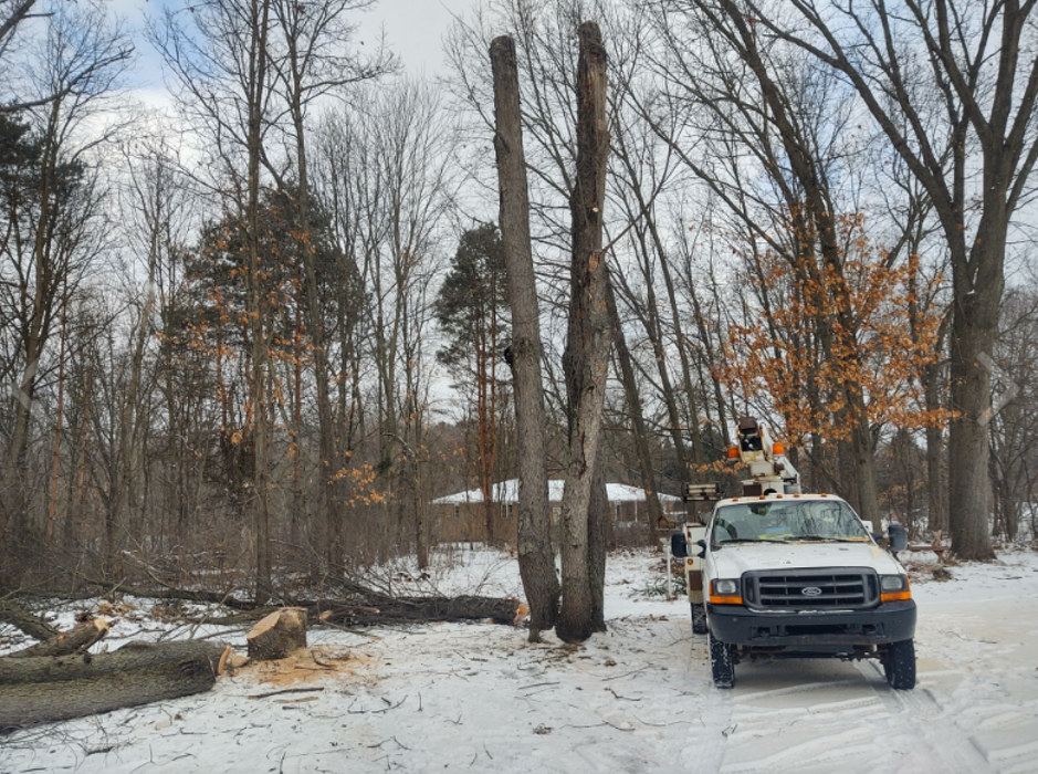 Stony Tree Service - Vermontville, MI