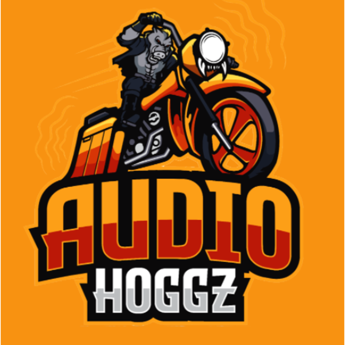 Audio Hoggz, LLC - Fort Worth, TX