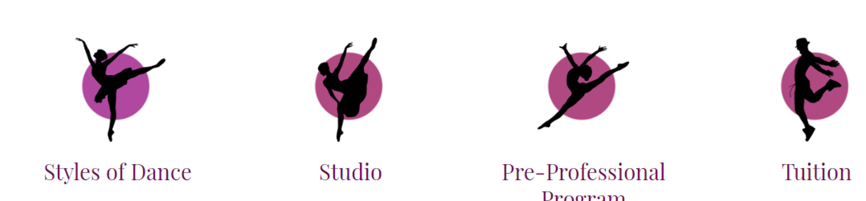 The Central NJ Ballet Theatre - Florence, NJ