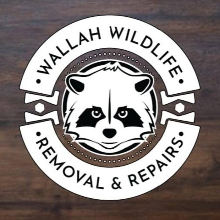 Wallah Wildlife LKN - Kannapolis, NC