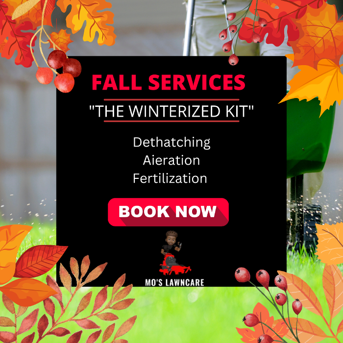 Mo's Lawncare - Amarillo, TX