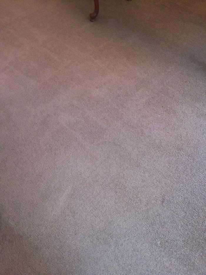 24/7 Carpet & Upholstery Cleaning Services - Saint Louis, MO