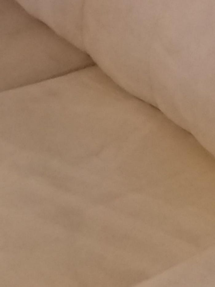 24/7 Carpet & Upholstery Cleaning Services - Saint Louis, MO