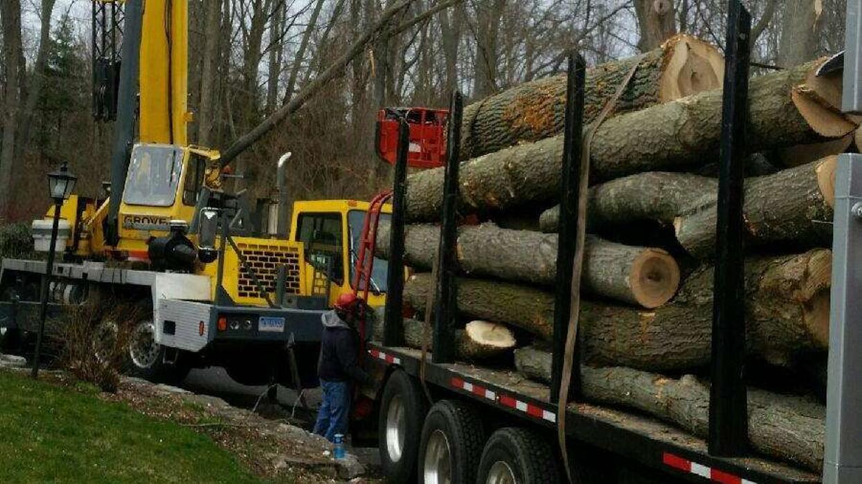 Redwood Tree Company - Bridgeport, CT