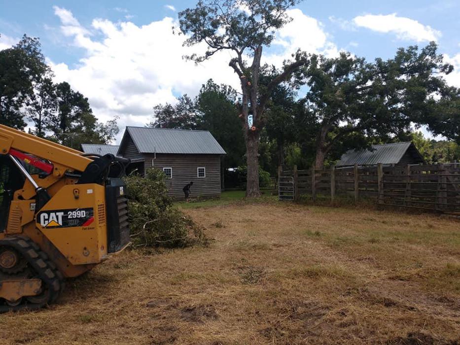 East Georgia Tree Service - Millen, GA
