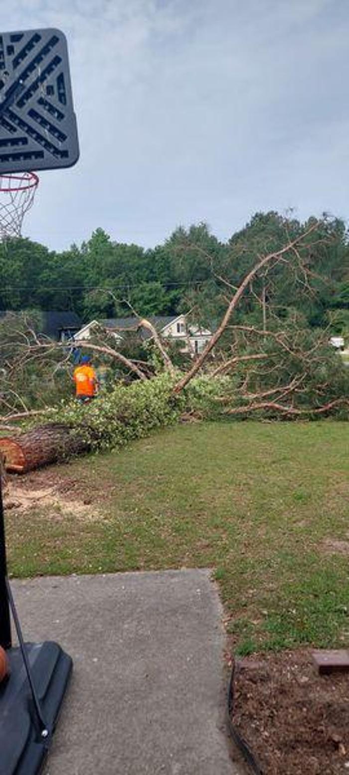 East Georgia Tree Service - Millen, GA