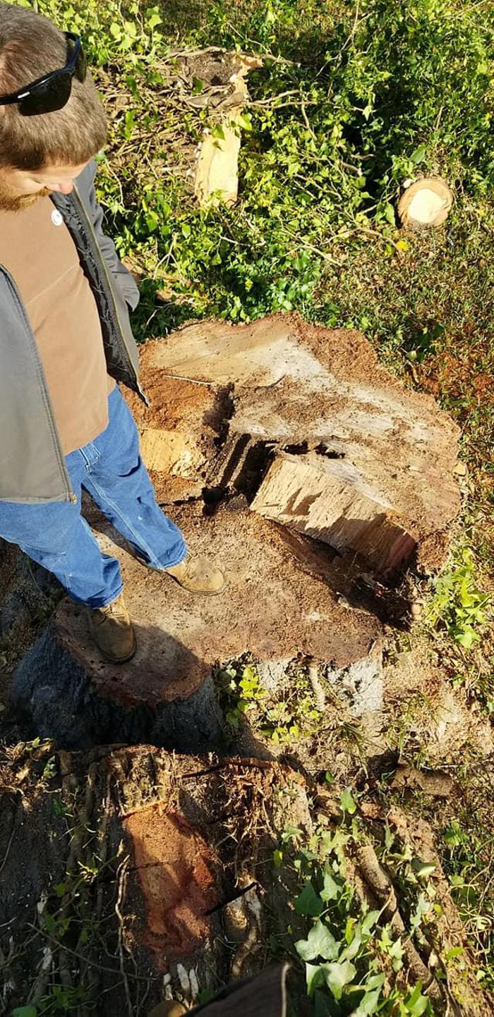 East Georgia Tree Service - Millen, GA