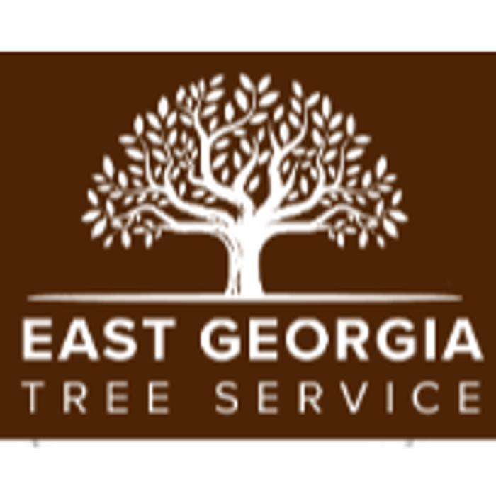 East Georgia Tree Service - Millen, GA