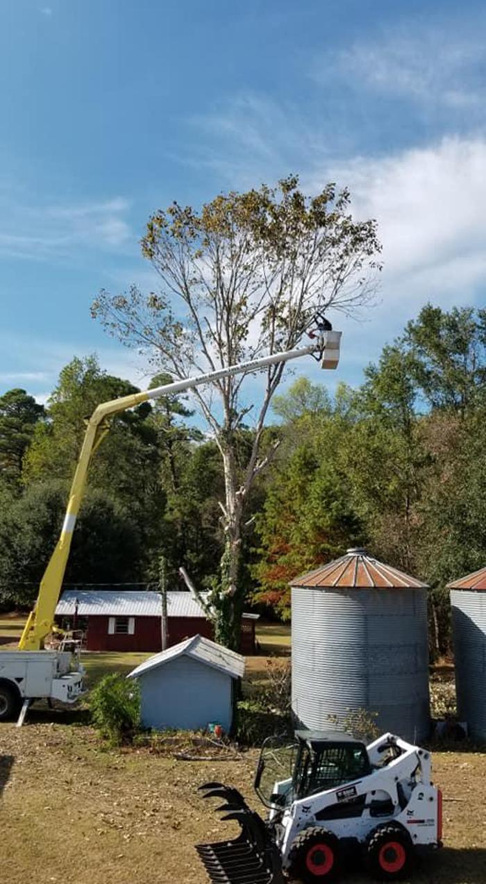 East Georgia Tree Service - Millen, GA