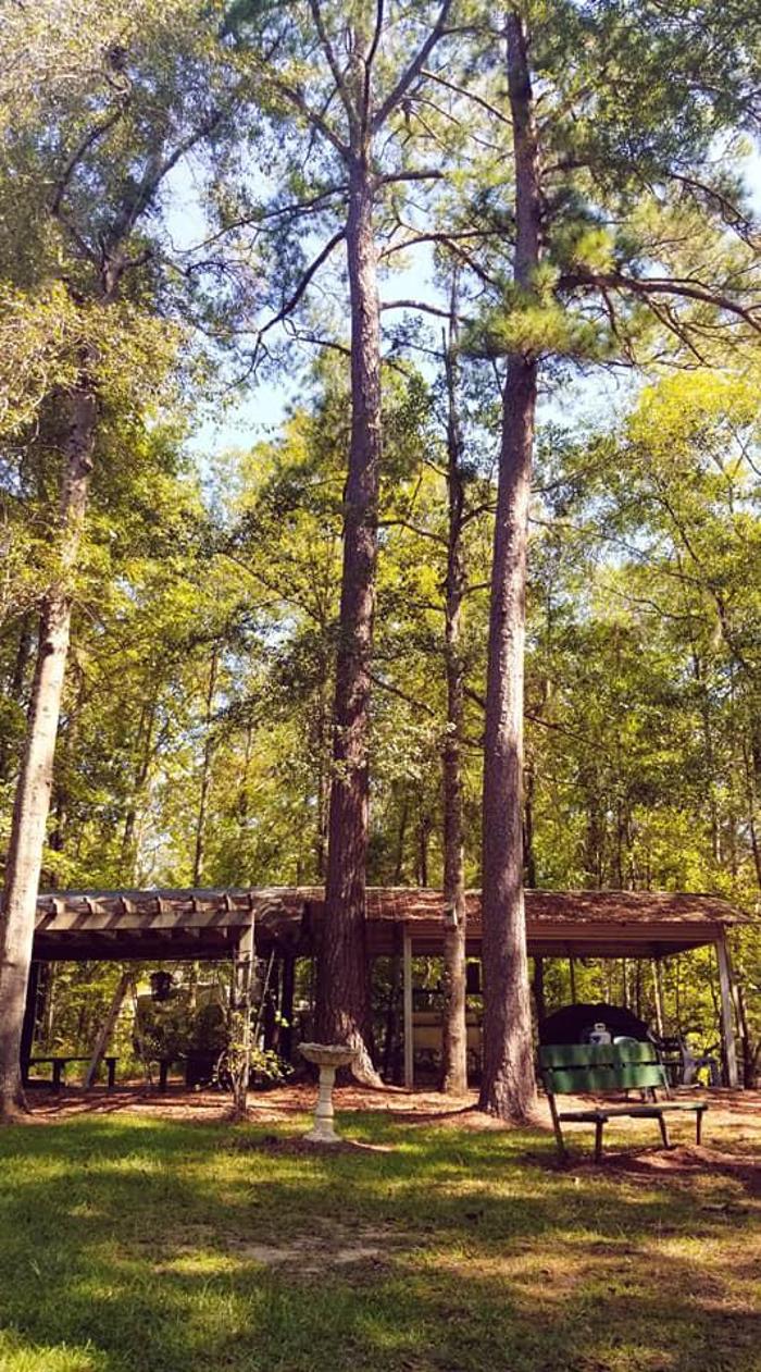East Georgia Tree Service - Millen, GA