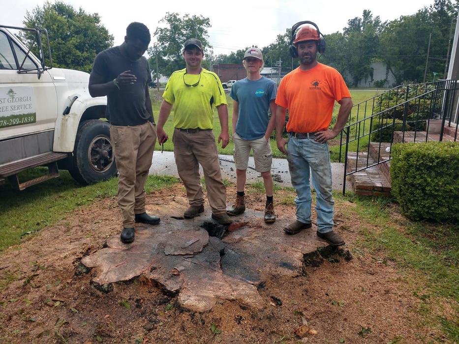 East Georgia Tree Service - Millen, GA