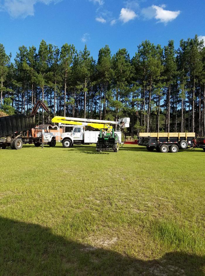 East Georgia Tree Service - Millen, GA