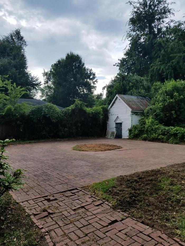 East Georgia Tree Service - Millen, GA