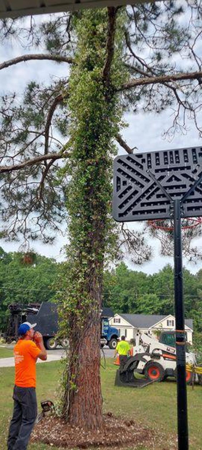 East Georgia Tree Service - Millen, GA