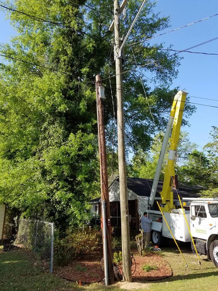 East Georgia Tree Service - Millen, GA