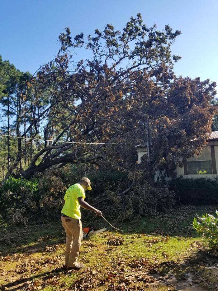 East Georgia Tree Service - Millen, GA