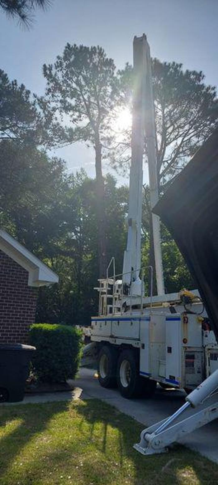 East Georgia Tree Service - Millen, GA