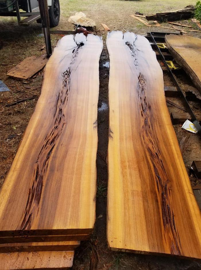 East Georgia Tree Service - Millen, GA