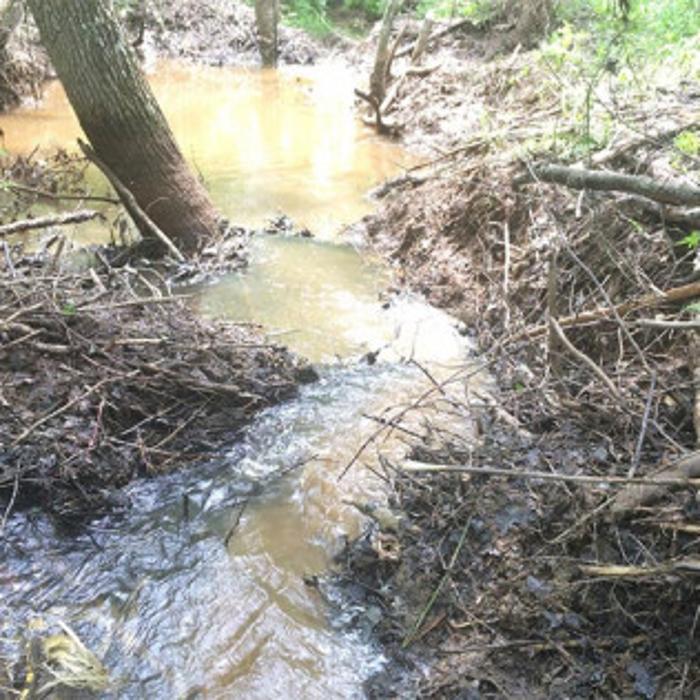 Wildlife Conflict Resolutions - Spotsylvania, VA