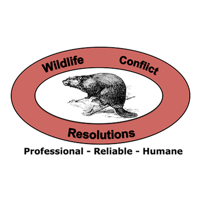 Wildlife Conflict Resolutions - Spotsylvania, VA
