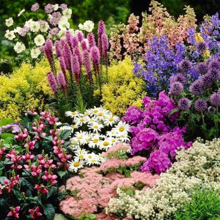 Davidson Greenhouse & Nursery, Inc. - Crawfordsville, IN