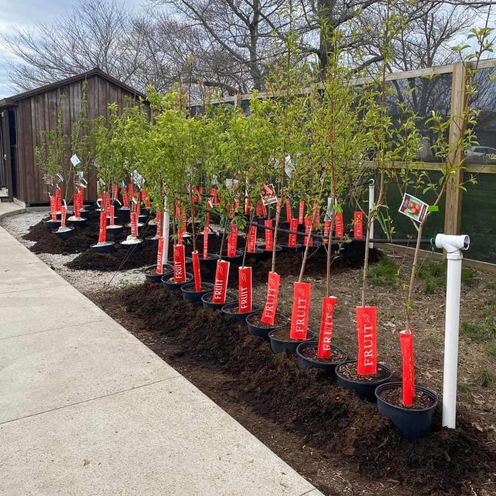 Davidson Greenhouse & Nursery, Inc. - Crawfordsville, IN