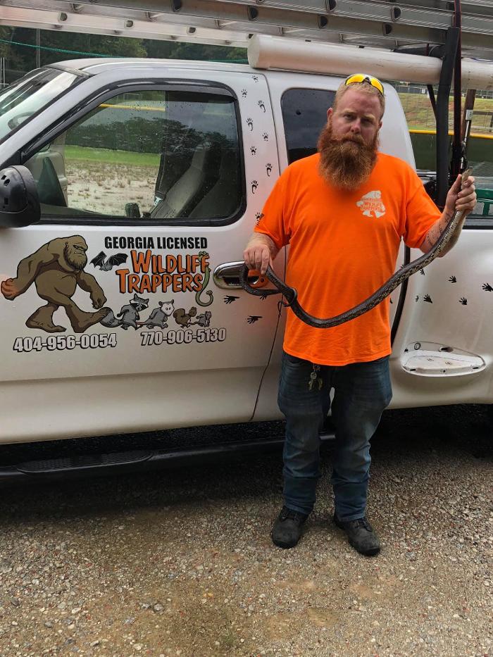 Georgia Licensed Wildlife Trappers - Douglasville, GA