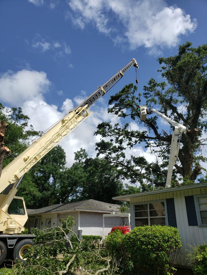 Greenwood Tree LLC - Pensacola, FL