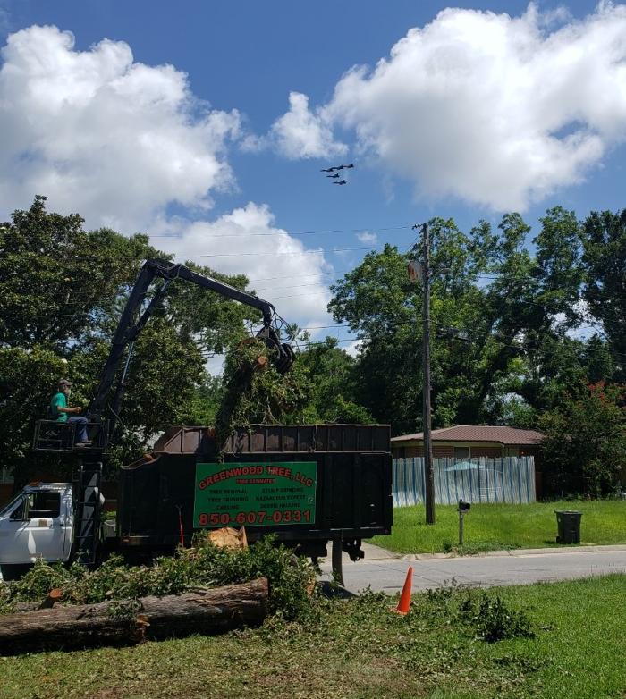 Greenwood Tree LLC - Pensacola, FL