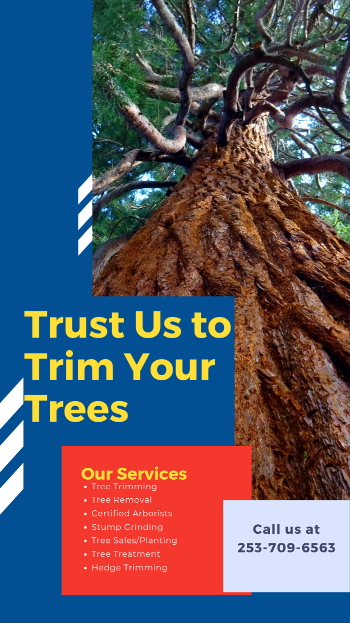 AAA Construction LLC - Bonney Lake, WA