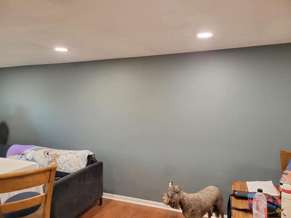 Avid Painting Company LLC - Hamilton, OH