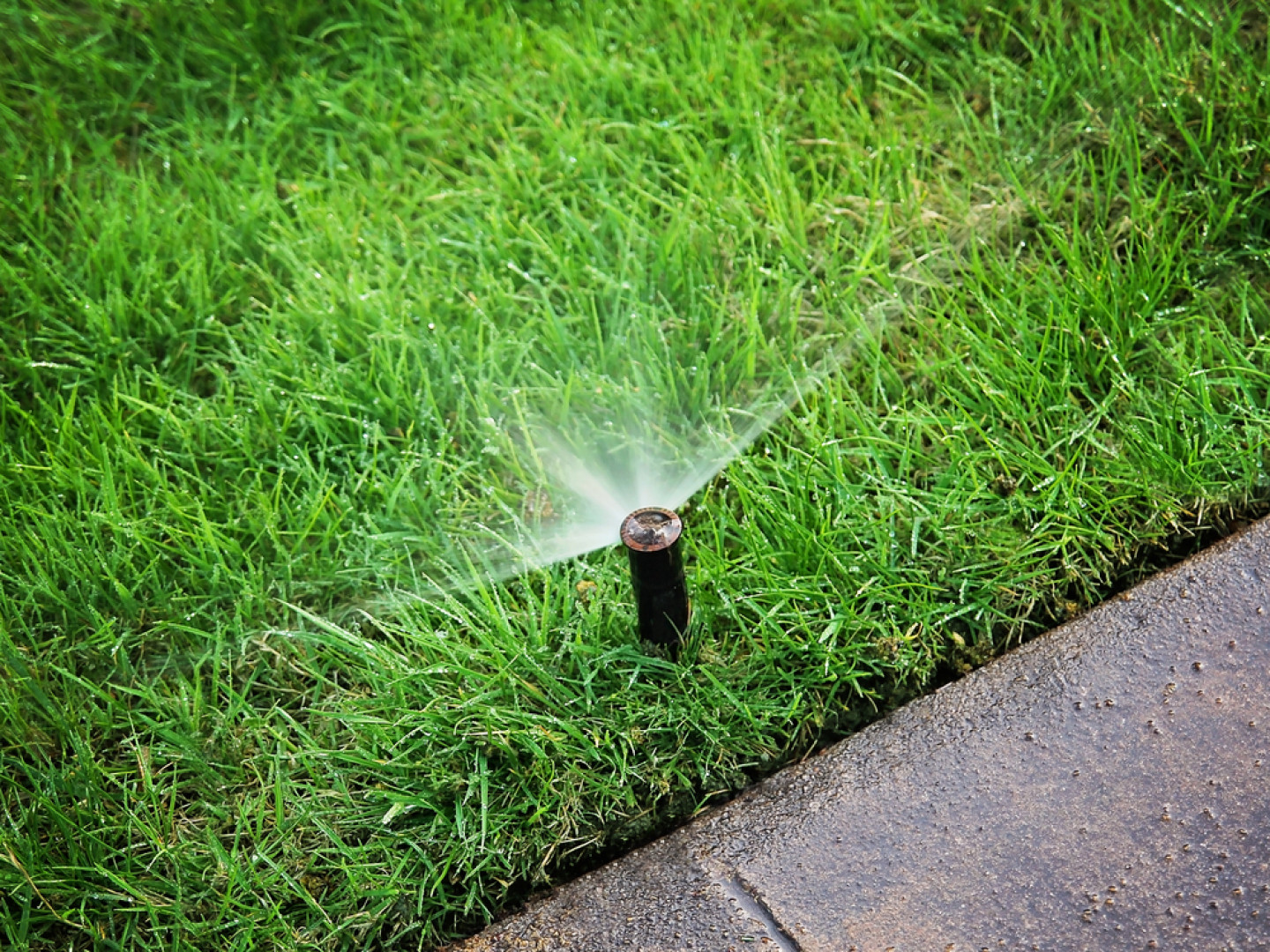 Image 2 | All Pro Sprinkler, Inc.