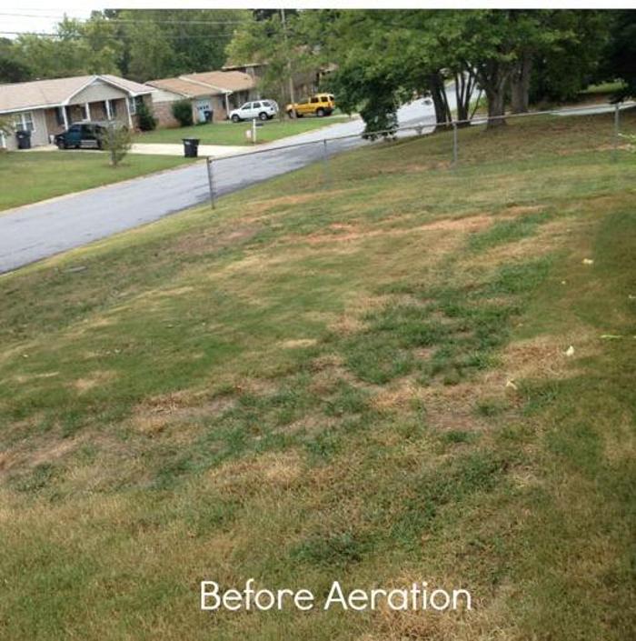 My Buckeye Lawn, LLC - Canton, OH