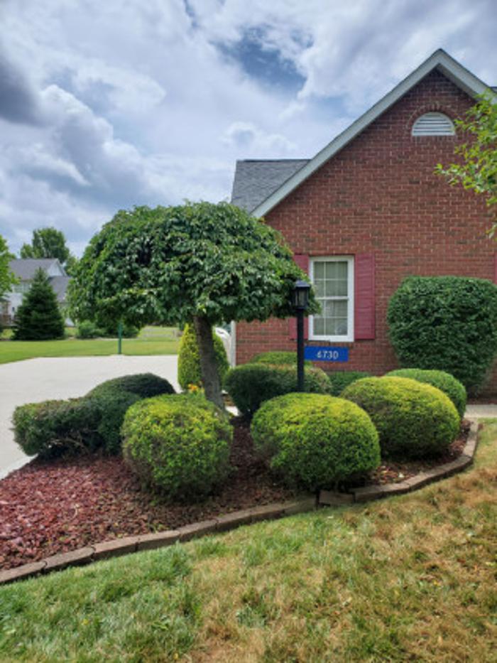 My Buckeye Lawn, LLC - Canton, OH