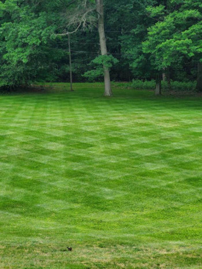 My Buckeye Lawn, LLC - Canton, OH