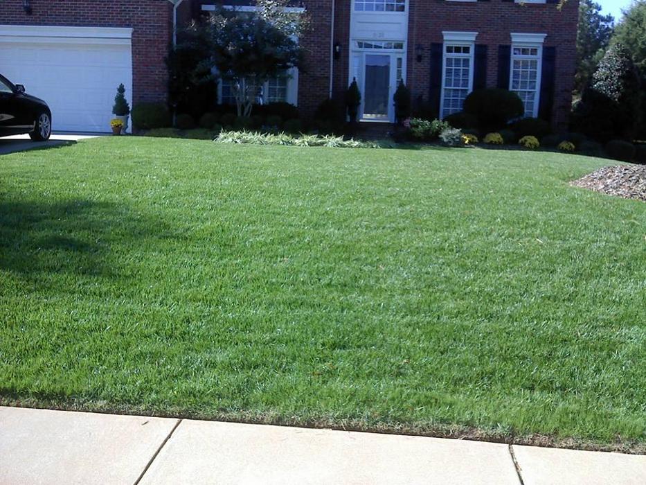 JF Landscaping Services - Charlotte, NC