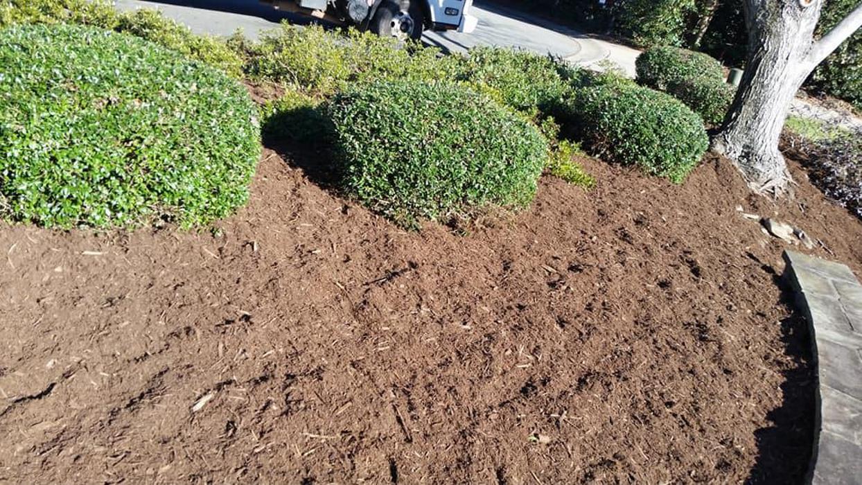 JF Landscaping Services - Charlotte, NC