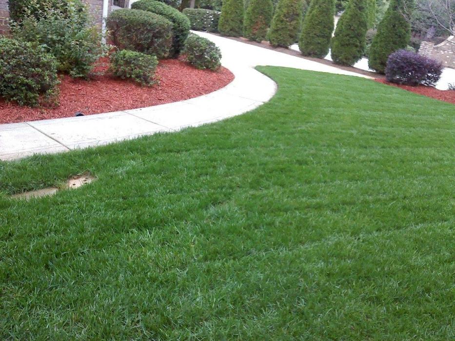 JF Landscaping Services - Charlotte, NC