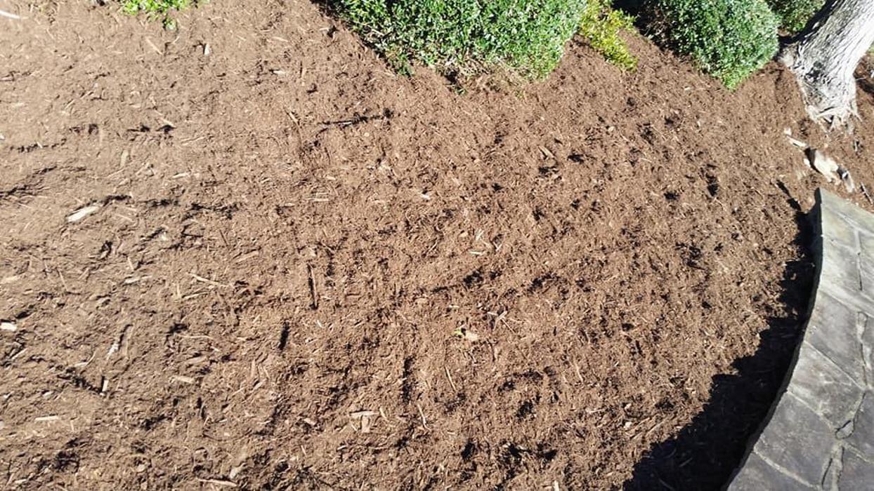 JF Landscaping Services - Charlotte, NC