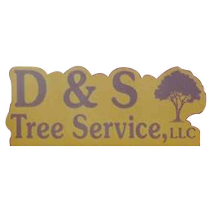 D&S Tree Service LLC - Laurens, SC