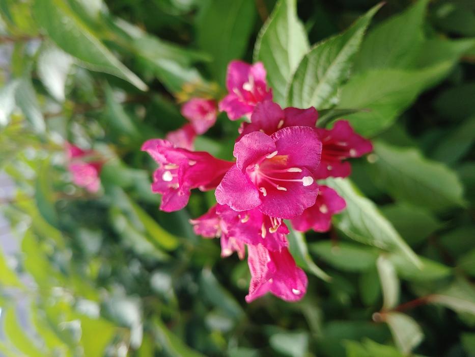 Custom Outdoor Solutions - Hamburg, NY