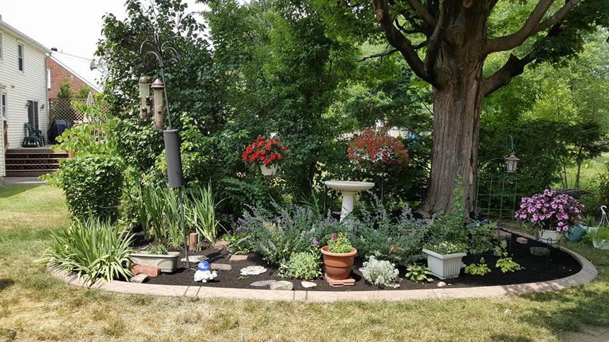 Custom Outdoor Solutions - Hamburg, NY