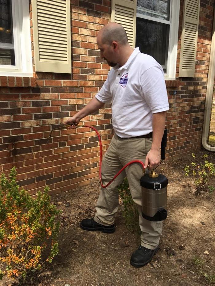 Reliant Pest Management - Cary, NC